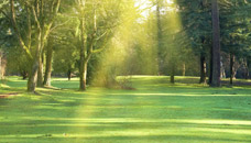 Purdy and Dawson Funeral Homes